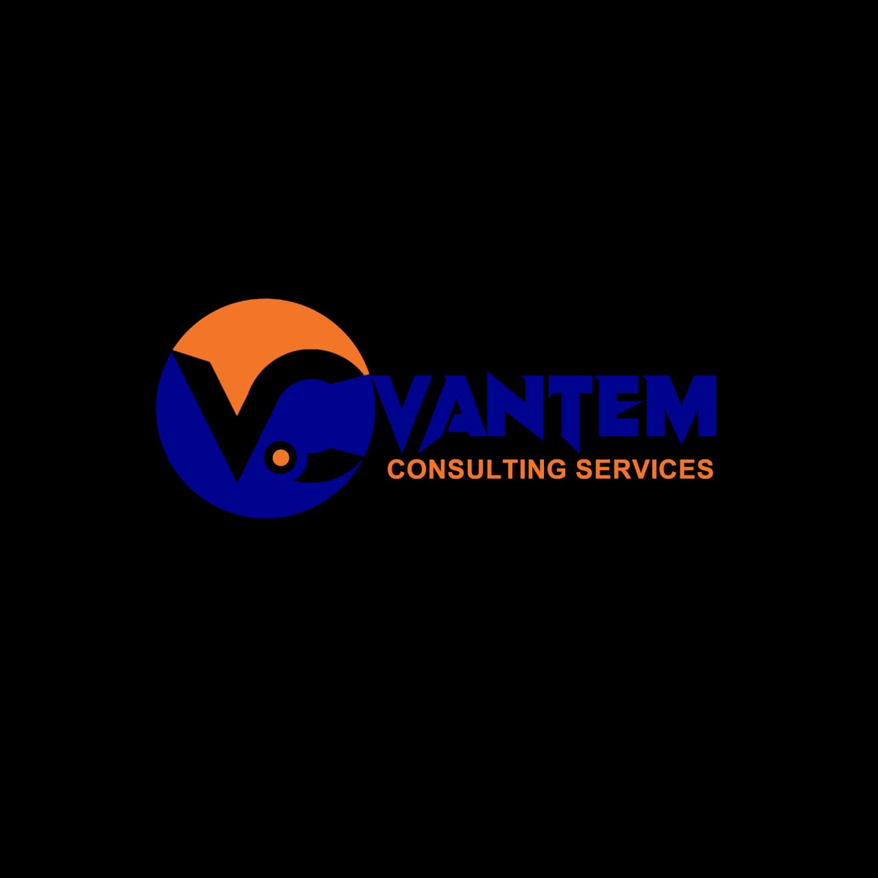 Vantem Consulting Services logo